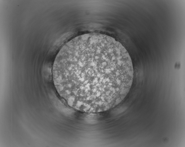 X0000115420527200911171426