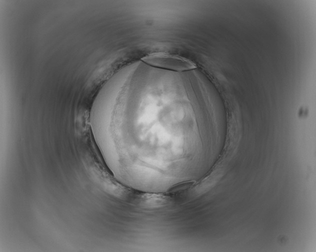 X0000115420528200911171426
