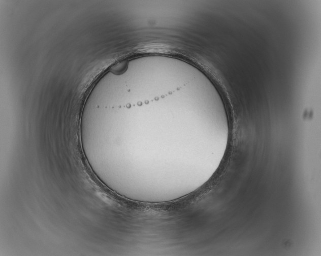 X0000115420529200911171425