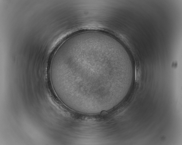X0000115420531200911171425