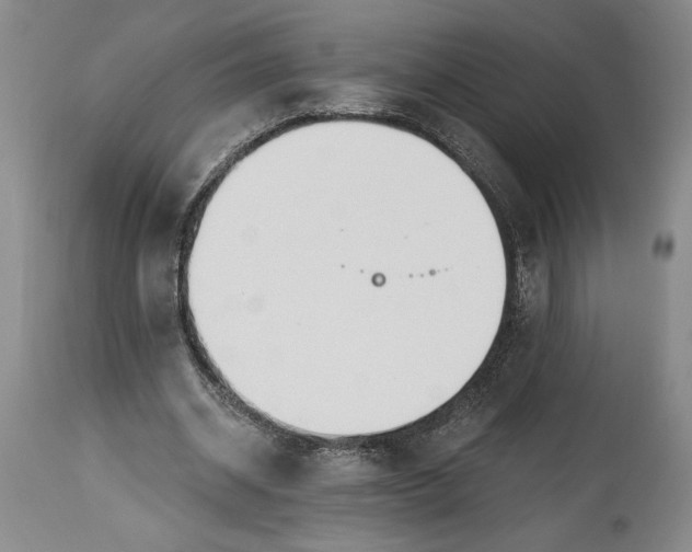X0000115420534200911171425