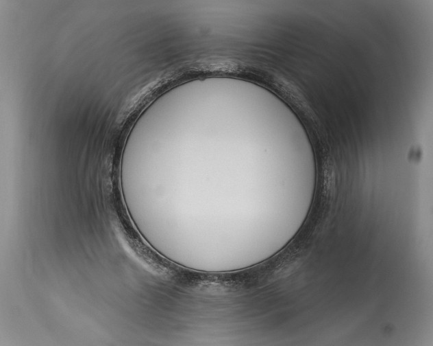X0000115420538200911171425