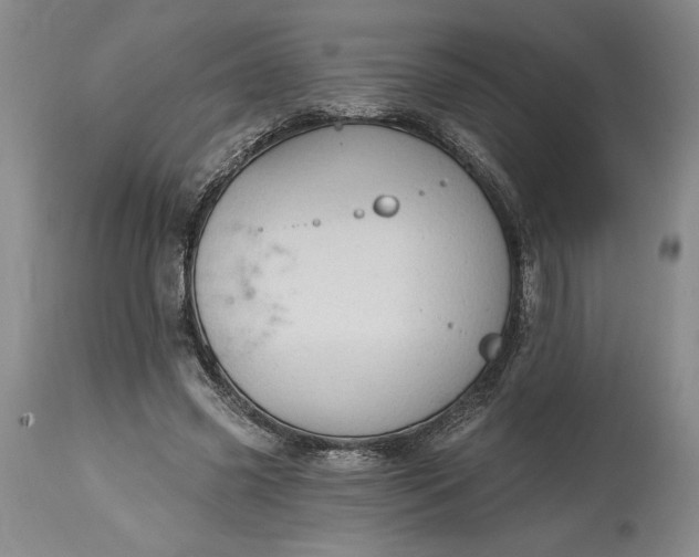 X0000115420541200911171425