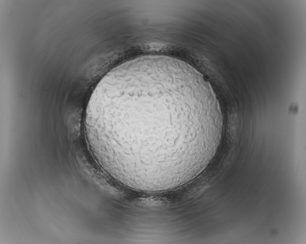 X0000115420545200911171425