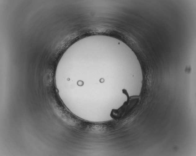 X0000115420546200911171425