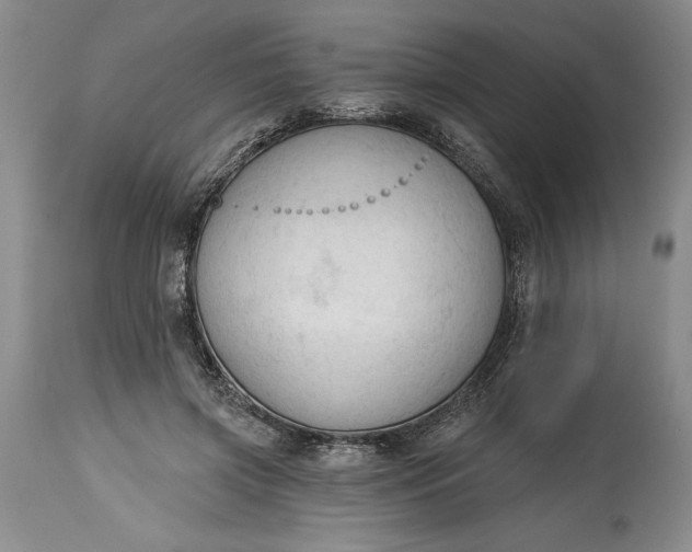 X0000115420549200911171425