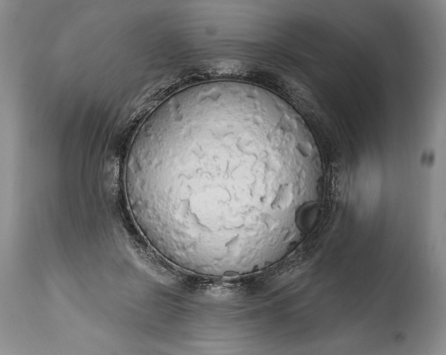 X0000115420550200911171425