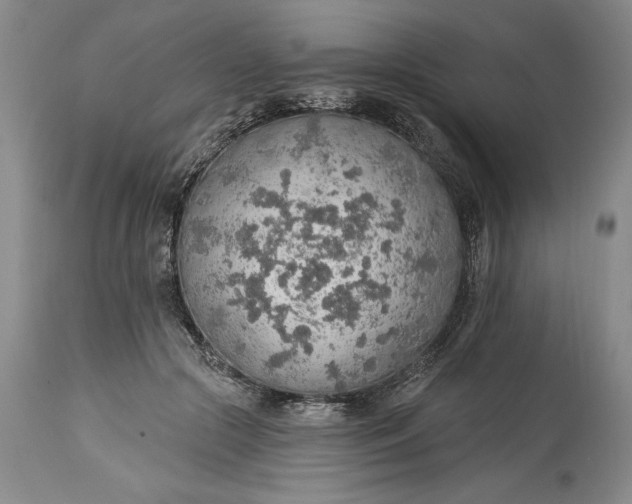 X0000115420553200911171425