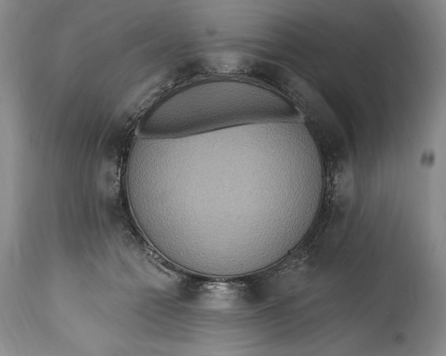 X0000115420558200911171426