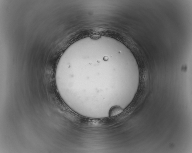 X0000115420565200911171426