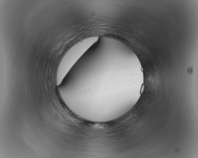 X0000115420566200911171426