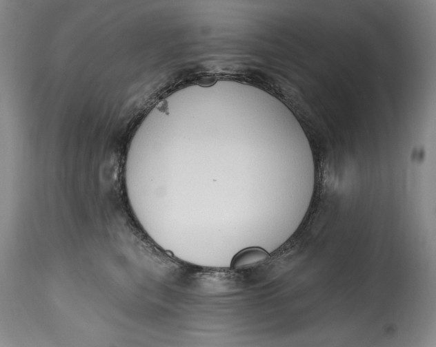 X0000115420567200911171426