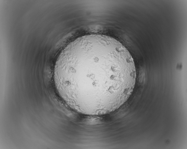 X0000115420569200911171426