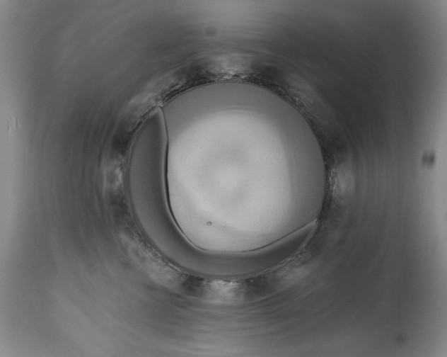 X0000115420570200911171426