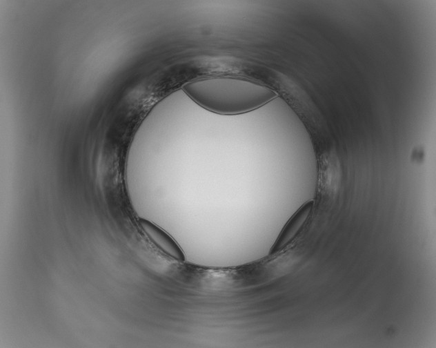 X0000115420573200911171426
