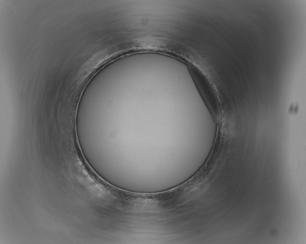 X0000115420577200911171425