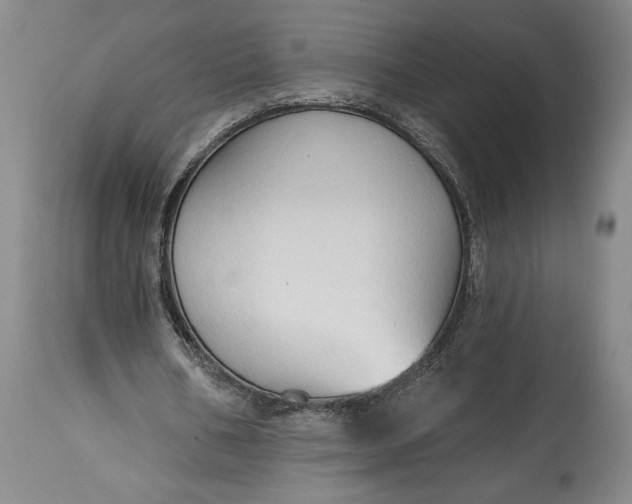 X0000115420578200911171425