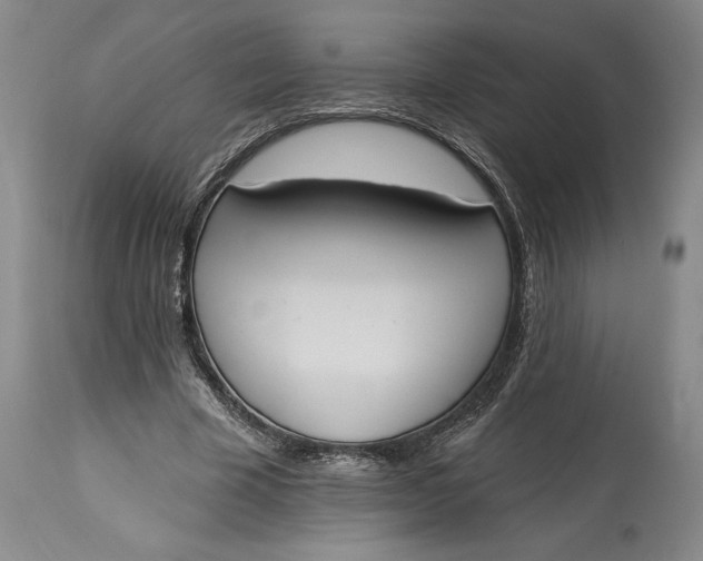 X0000115420585200911171425