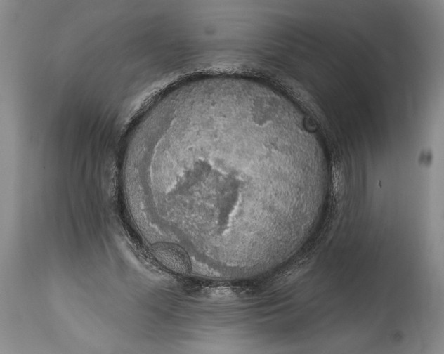 X0000115420588200911171425