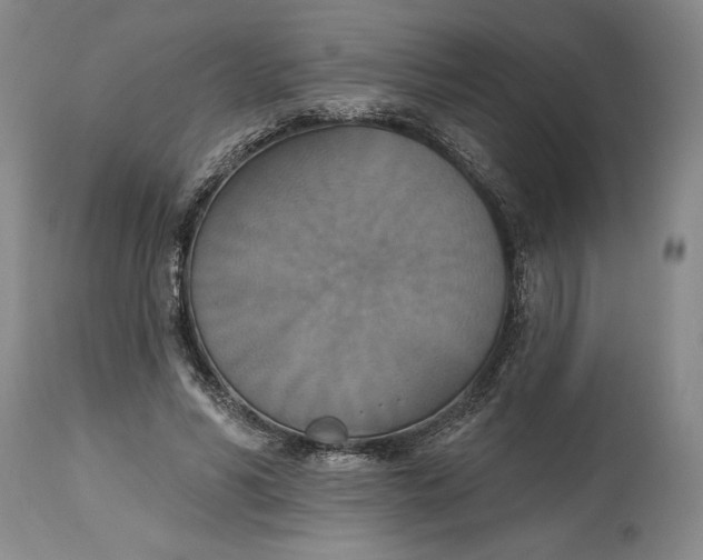 X0000115420590200911171425