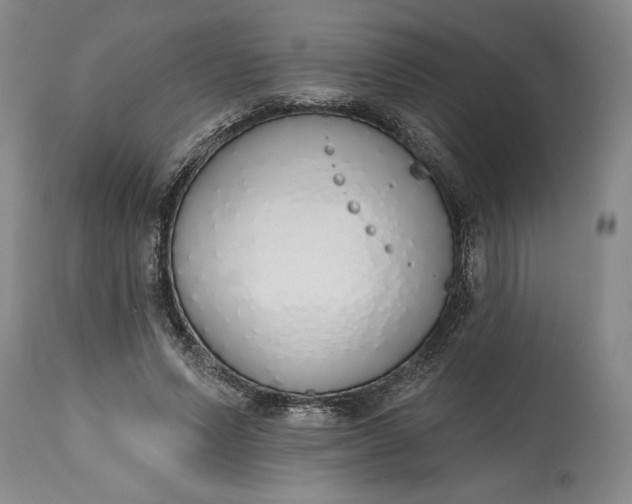 X0000115420591200911171425