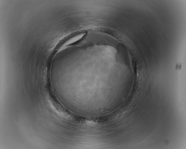 X0000115420592200911171425