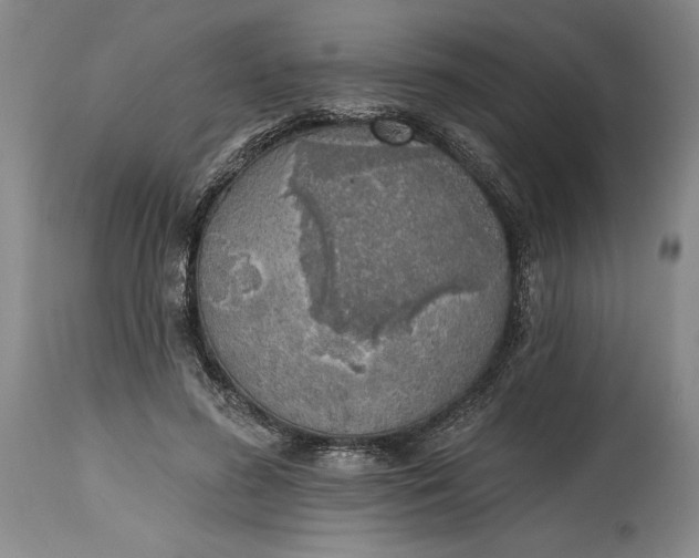 X0000115420596200911171425