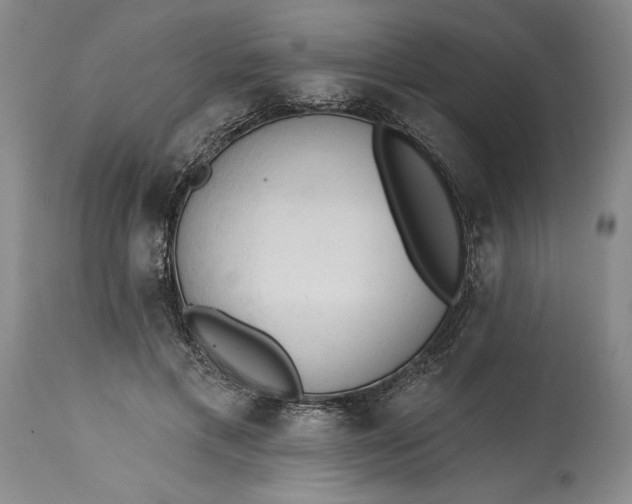 X0000115420597200911171425