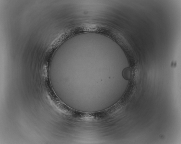 X0000115420598200911171425