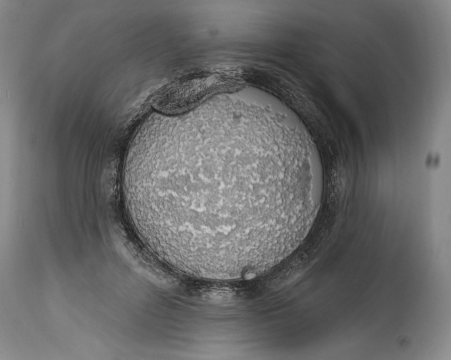 X0000115420600200911171425