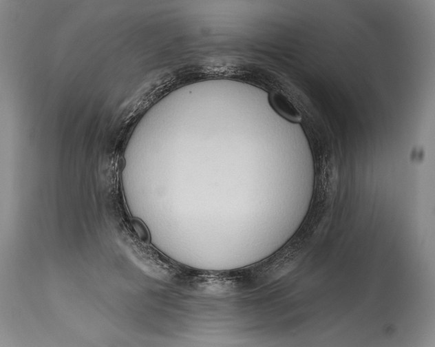 X0000115420601200911171425