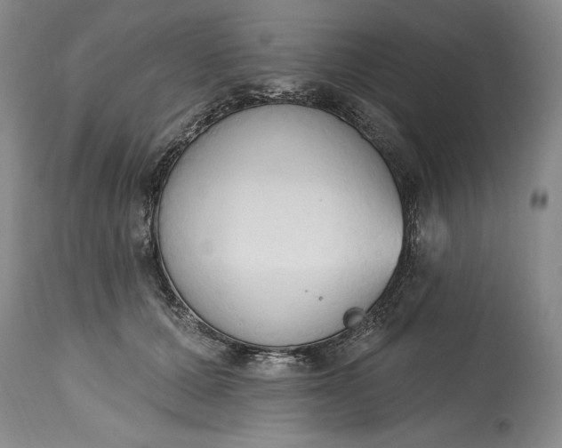X0000115420607200911171425