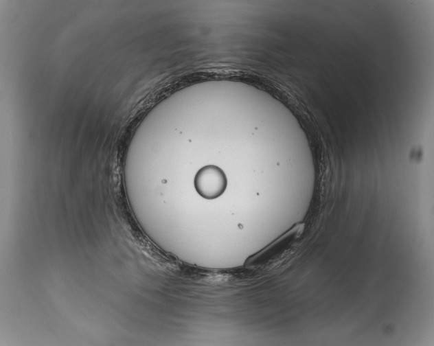 X0000115420609200911171424