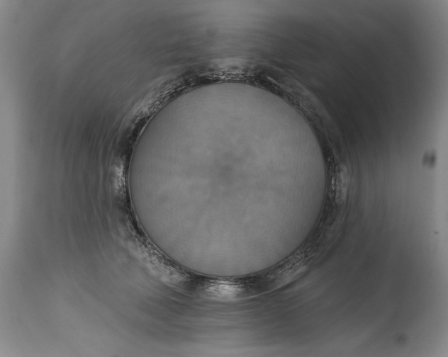 X0000115420610200911171424