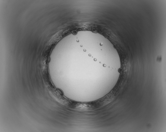 X0000115420611200911171424