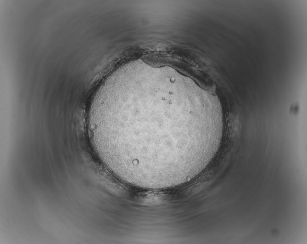 X0000115420612200911171424