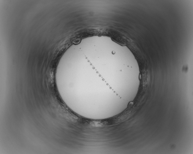 X0000115420613200911171424