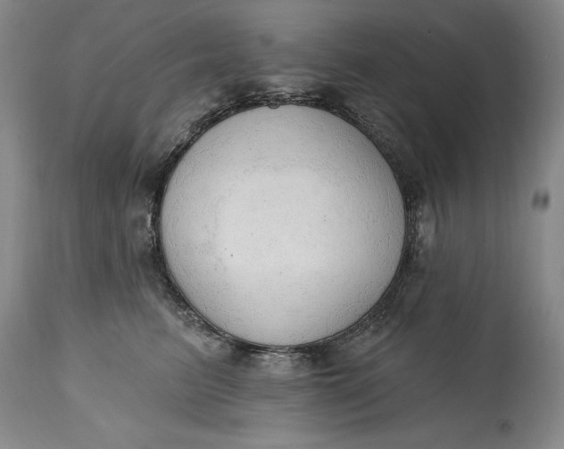 X0000115420615200911171424