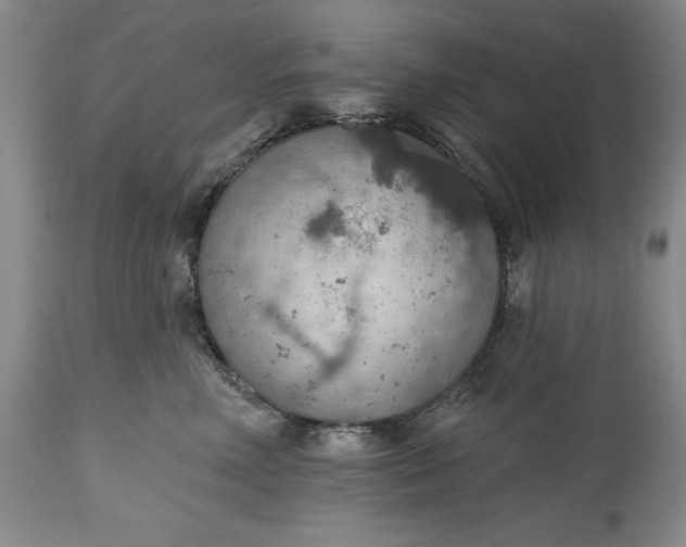 X0000115420618200911171424