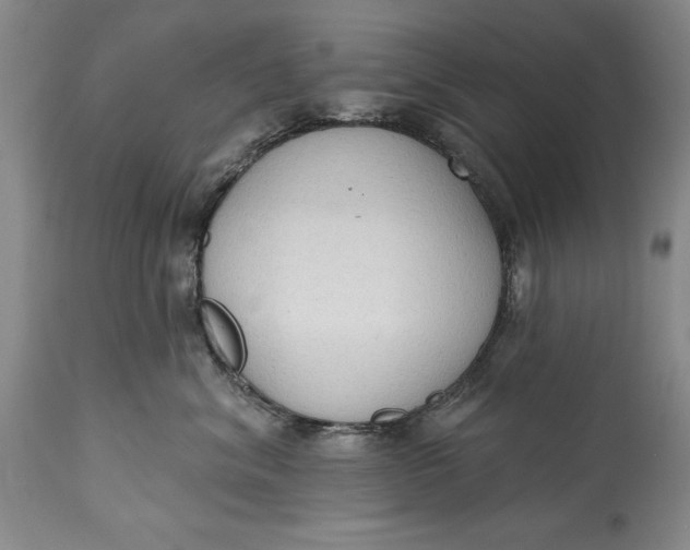 X0000115420620200911171424
