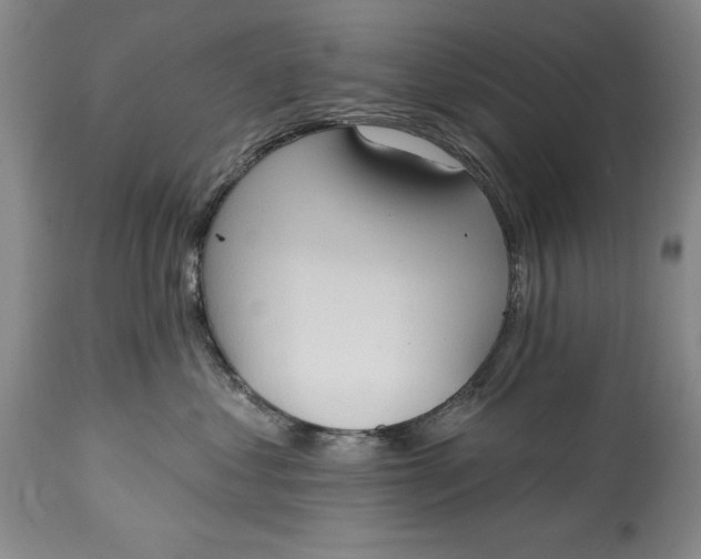 X0000115420621200911171424