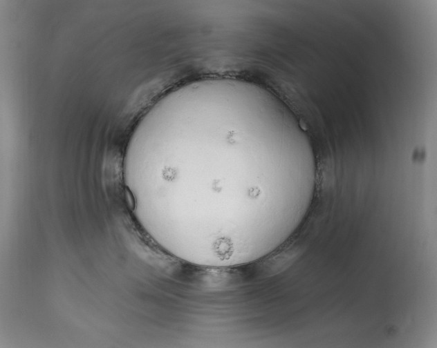X0000115420623200911171424