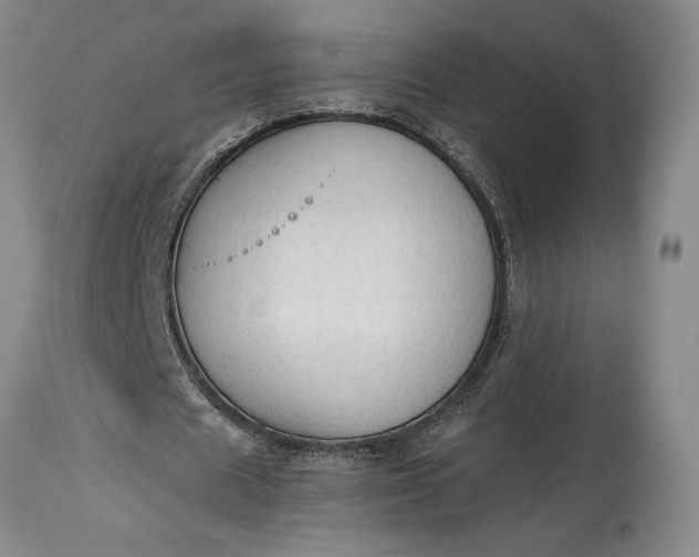 X0000115420625200911171424