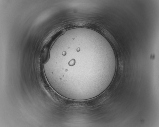 X0000115420626200911171424