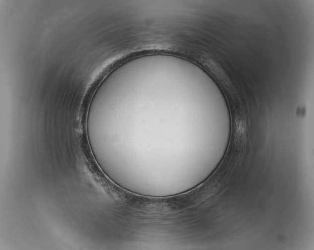 X0000115420628200911171424