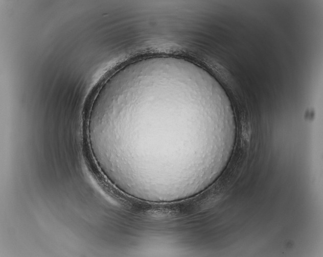 X0000115420630200911171424