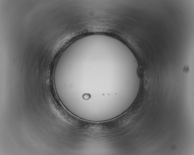 X0000115420631200911171424