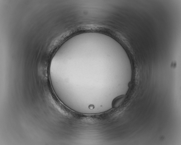 X0000115420633200911171424