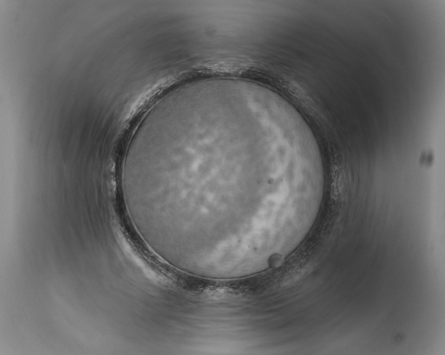 X0000115420634200911171424
