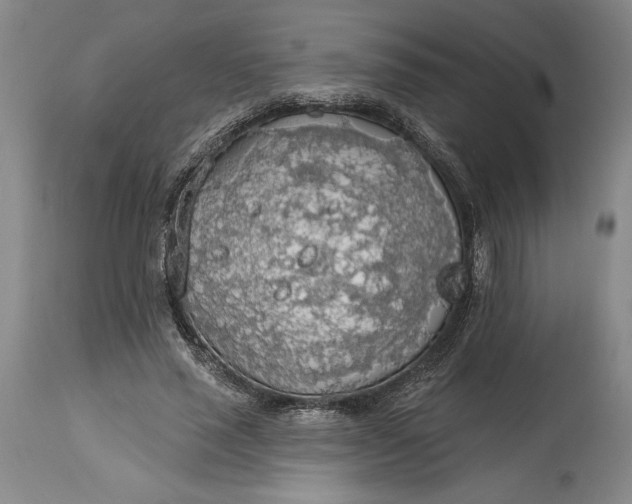 X0000115420637200911171424